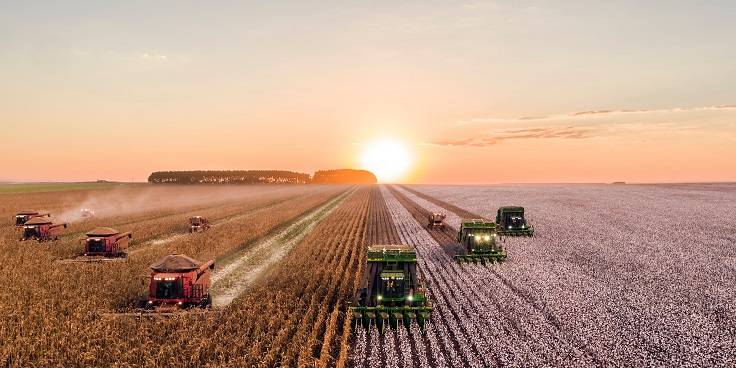 Dez municípios geram 76% do valor da produção agrícola piauiense
